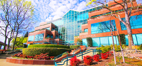 哈尔斯卓姆学院 Halstrom Academy